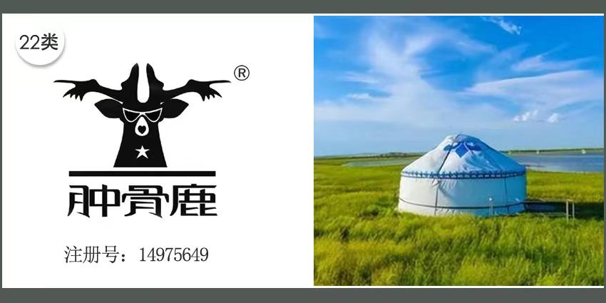 22类绳网袋篷